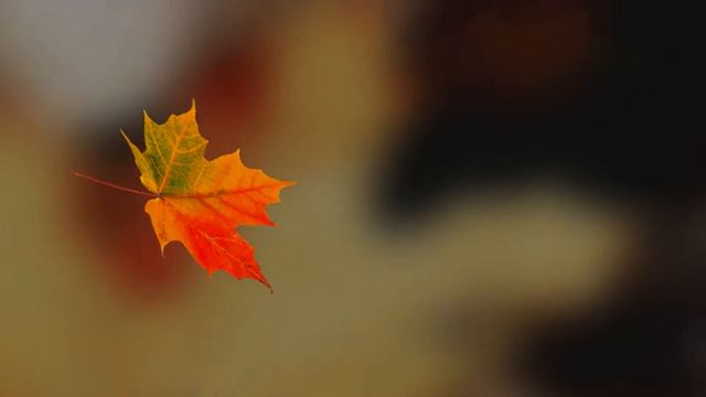 ЗНАЙ И ПОМНИ!!! Андрей Чёс - Пусть всё не так , как прежде смотреть онлайн