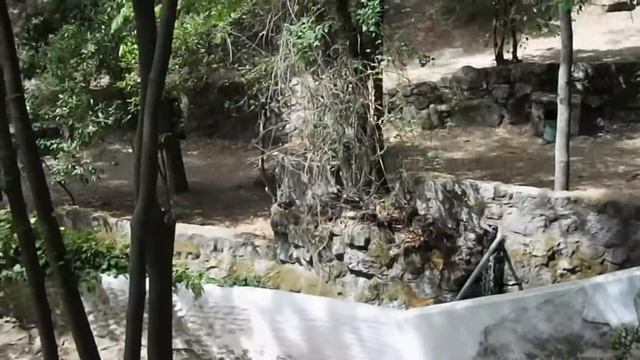 Travel to: Caldas de Monchique - Portugal смотреть онлайн