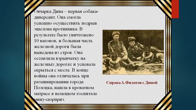 "Собаки герои воны" смотреть онлайн