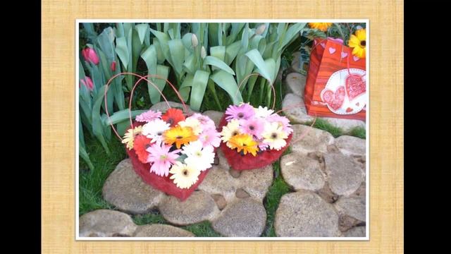 Выставка цветов смотреть онлайн