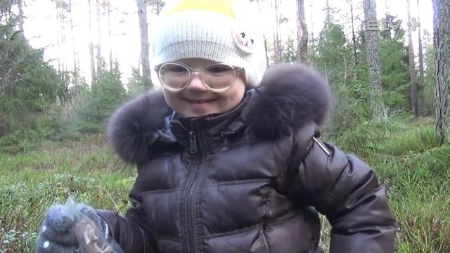 Сара отправилась в лес за елкой ("ТВой вечер", 07/12/2015) смотреть онлайн