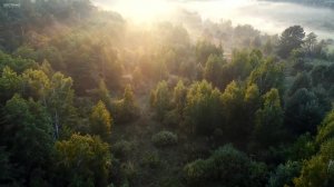 8 Часов Расслабляющая Музыка для Сна, Инструментальная Музыка, Медитация во Сне