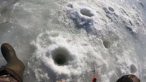 Зимняя рыбалка на озеро Неро