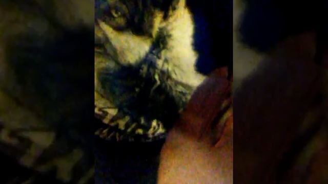 Как вымолить прощение у любимой смотреть онлайн