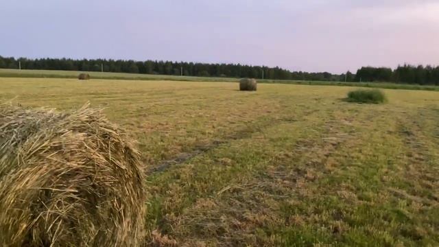 Заготовка сенажа.1 сезон.Настраиваем и пресуем KRONE KR130 и обматываем сенаж в пленку смотреть онлайн