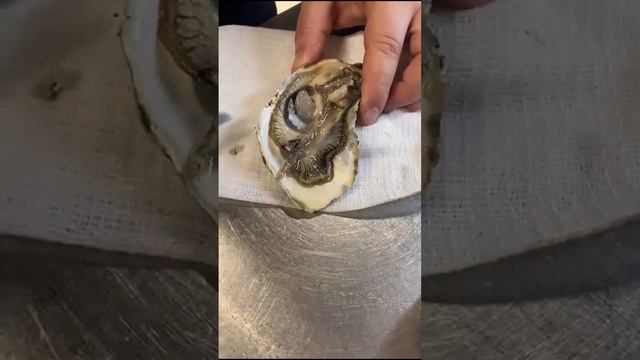 А вы знали как правильно вскрывать устрицы? Видео урок от нашего шеф-повара. смотреть онлайн