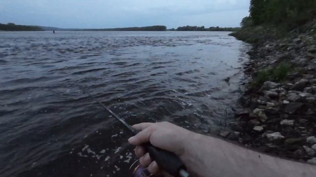 Ловля вечернего судака смотреть онлайн