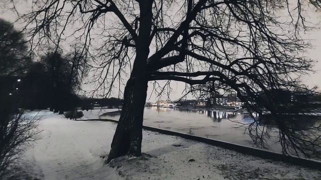 VID 20221204 221121 Вечерком 1908 (А. Белый)...Павел Васильев Лахтинский смотреть онлайн