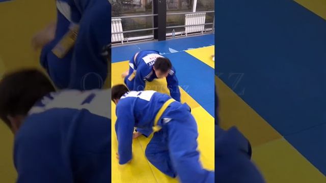 Тренировка по дзюдо в партере Ne-Waza на скорость быстроты реакции, ORTUS.KZ. Тренер Пак Сергей смотреть онлайн