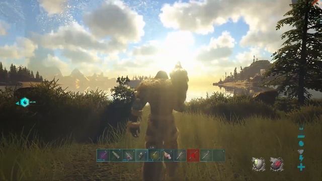 Let's Talk About The Dodo