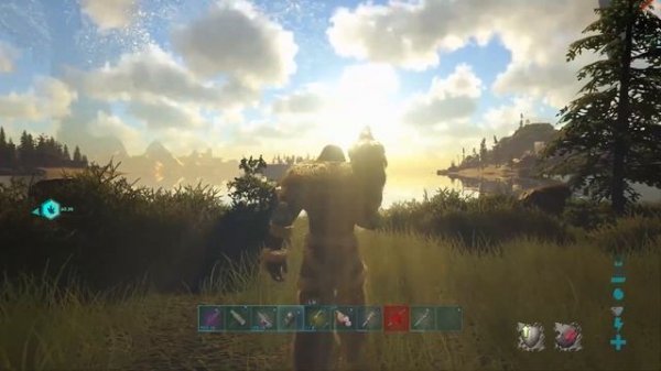 Let's Talk About The Dodo