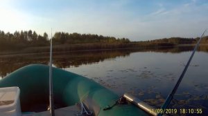 Ловля окуня на малька.