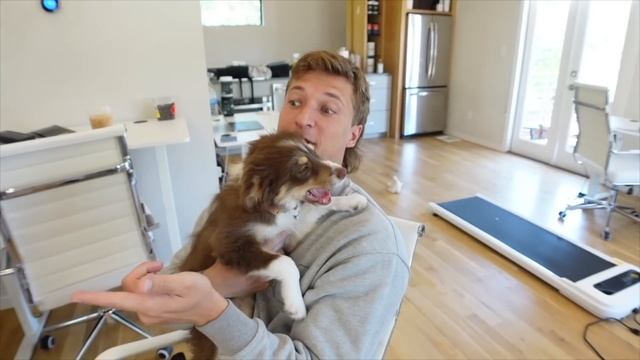 LIFE IS CRAZY MAN | running 18 miles, PWDRS HQ tour, let's have a chat.... смотреть онлайн