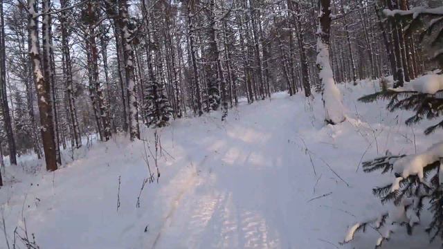 Ночевка в лесу в -30 в самодельной палатке 1/2 смотреть онлайн