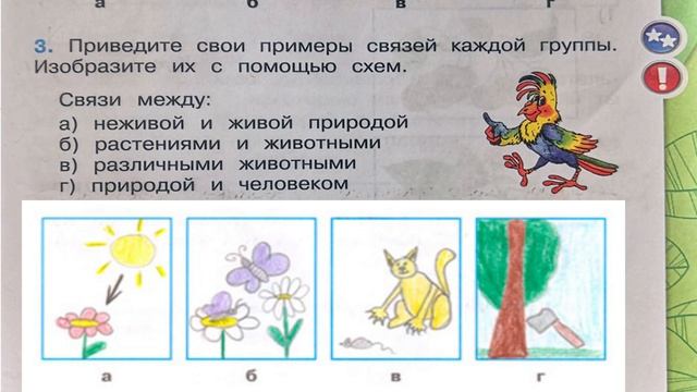 Окружающий мир. Рабочая тетрадь 2 класс 1 часть. ГДЗ стр. 47 №3 смотреть онлайн