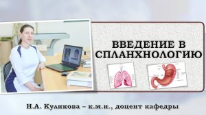 ВИДЕОУРОК - Введение в спланхнологию.