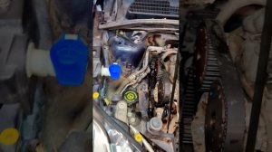 Замена ремня ГРМ Ford Kuga 1 2.5T