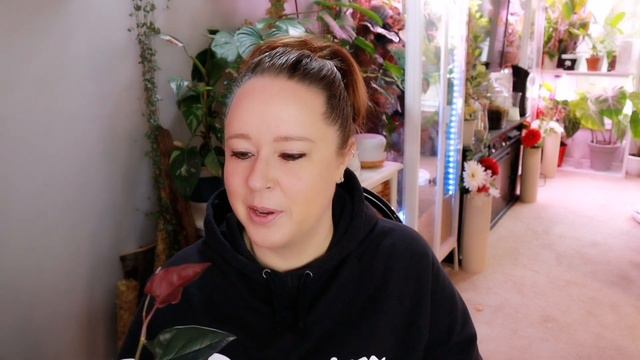 Houseplant Haul!! Indoor & Outdoor With A Wishlist Plant!!!
