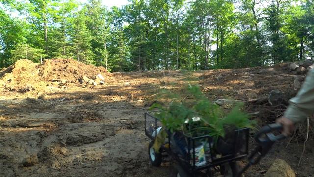 Game Changing Transformation @ Off Grid Log Cabin, Pond, Fishing, Cast Iron Cooking смотреть онлайн