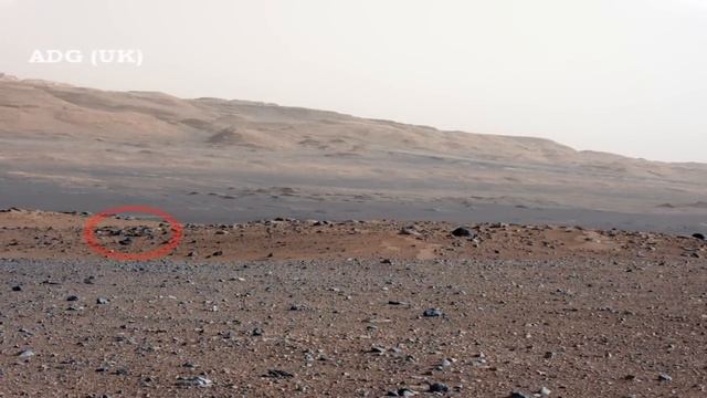 Two Alien Lifeforms Next To Mount Sharp? 2012 HD смотреть онлайн