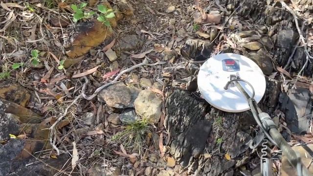 GPX 6000. How I detect a creek and where to look for gold nuggets. #jenkogold смотреть онлайн
