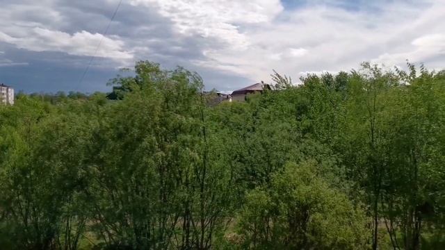 пеку пряники/хлеб из 5 сортов муки/русский дух#биробиджан #домашняякухня #мысли смотреть онлайн