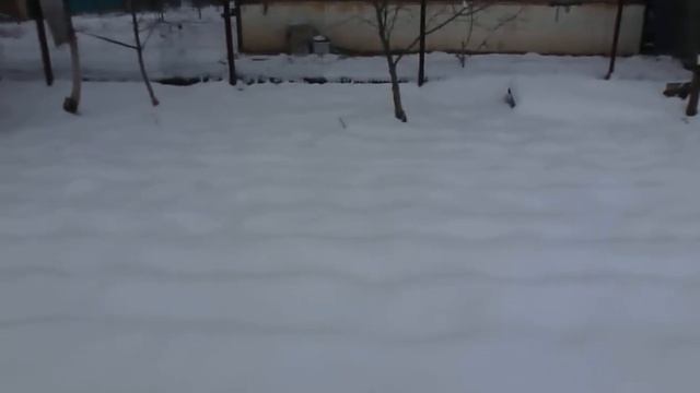 я на даче Красивые зимние утром :)))) смотреть онлайн