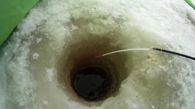 Ловля рыбы на реке зимой. Плотва на отводной поводок смотреть онлайн