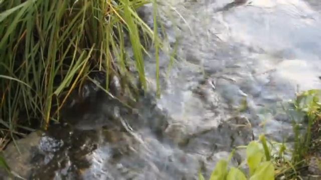 2.СПОКОЙНОЙ НОЧИ,ПРЕКРАСНОГО ЗАВТРА... смотреть онлайн