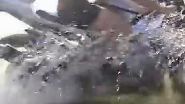 R1 езда по воде смотреть онлайн