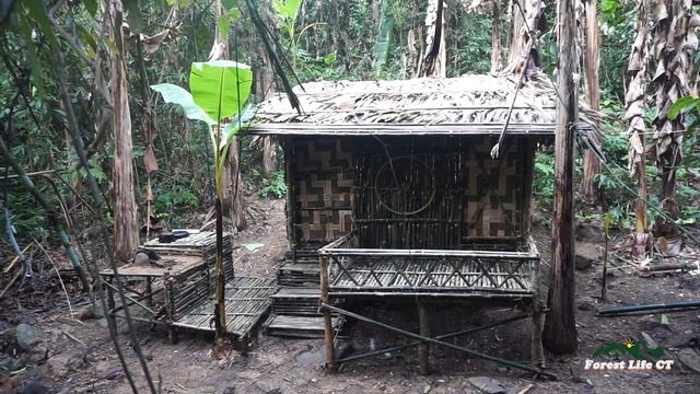 CT Forest Life - Survival instinct, Wild alone, survival | Earn food and complete the cabin смотреть онлайн