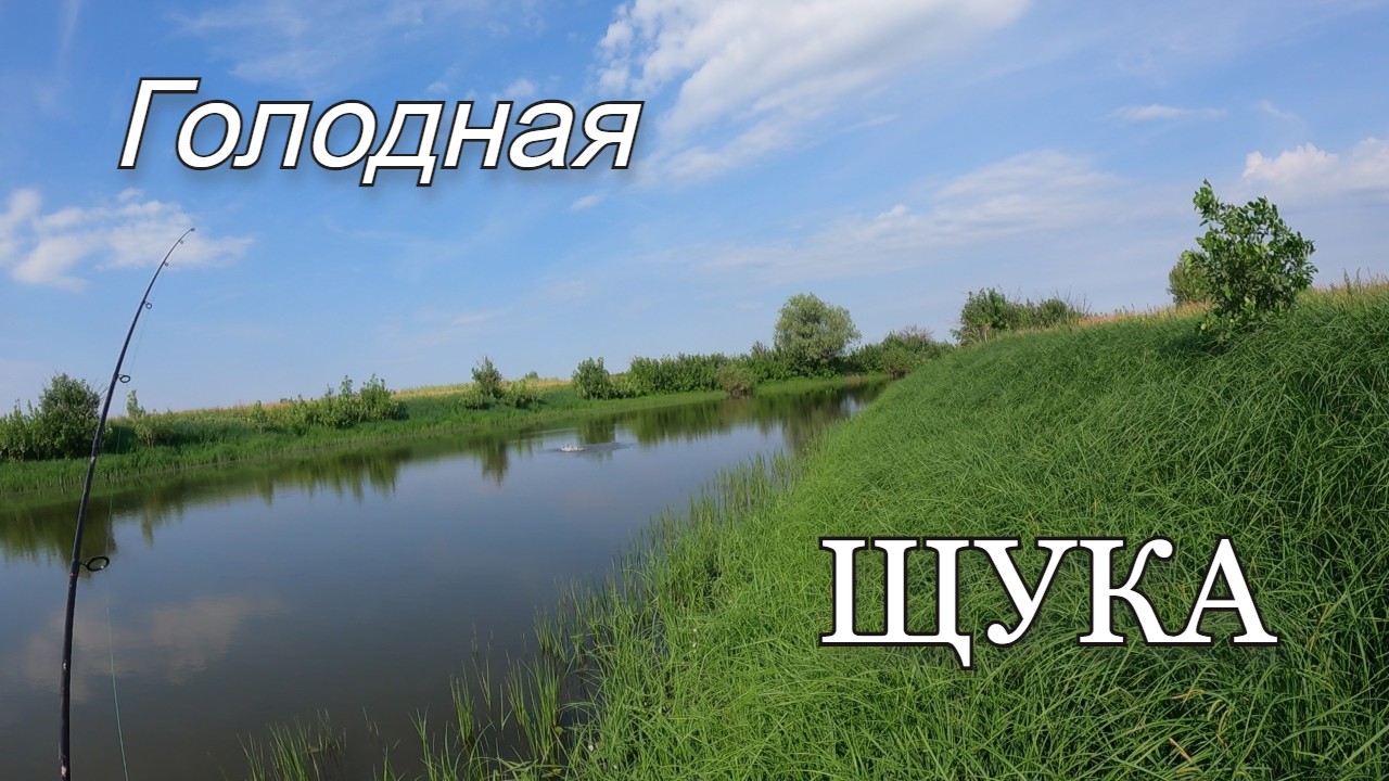 Щука дуреет от этой приманки.Поймал много щуки в любимом ерике.Часть 2 смотреть онлайн