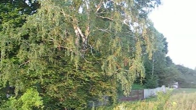 Захід сонця смотреть онлайн