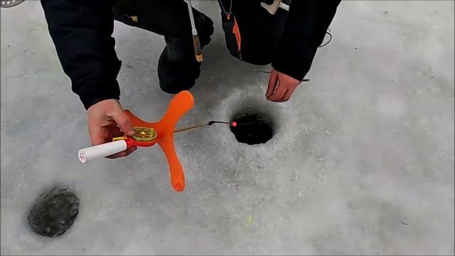 Шикарный клёв лососей на нижнем. Клёвое место. смотреть онлайн