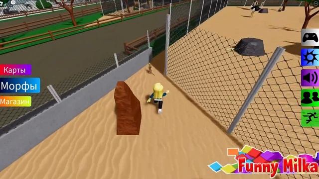 [?NEW] ШЛЁПА КАРТА ЗООПАРКА 6 ПОСЛЕДНИХ МОРФОВ Floppa Morphs ZOO MAP Roblox смотреть онлайн