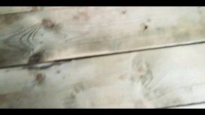 Чем покрасить деревянный пол на даче? Воскрешение убитого пола из дерева.