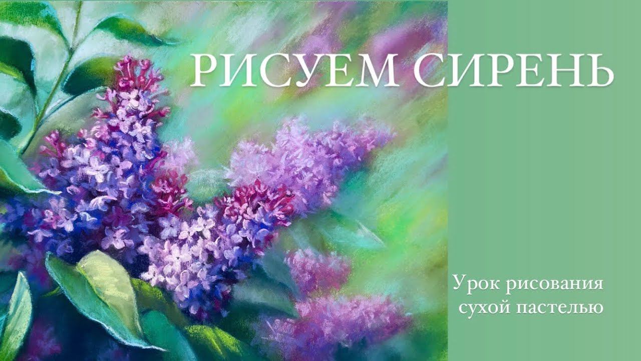Рисуем сирень сухой пастелью. Урок пастельной живописи смотреть онлайн