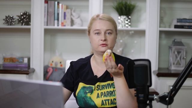 КАК ГУЛЯТЬ С ПОПУГАЕМ НА УЛИЦЕ смотреть онлайн