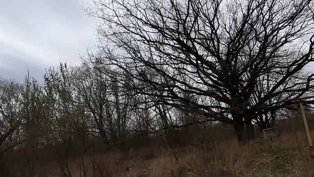 Калининград,Чистое озеро смотреть онлайн