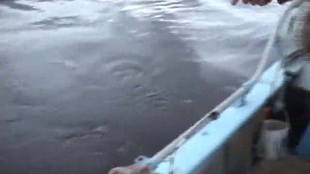 Лещ на кольцо, Вычегда.mp4 смотреть онлайн