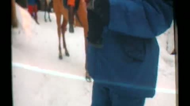 Участникам событий посвящается. смотреть онлайн