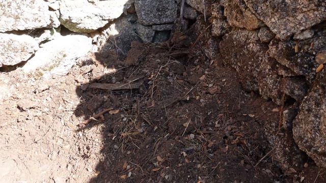 Clearing The Ruin - Our Off Grid Land in Portugal - Our Homestead Ep2, Those Weirdos смотреть онлайн