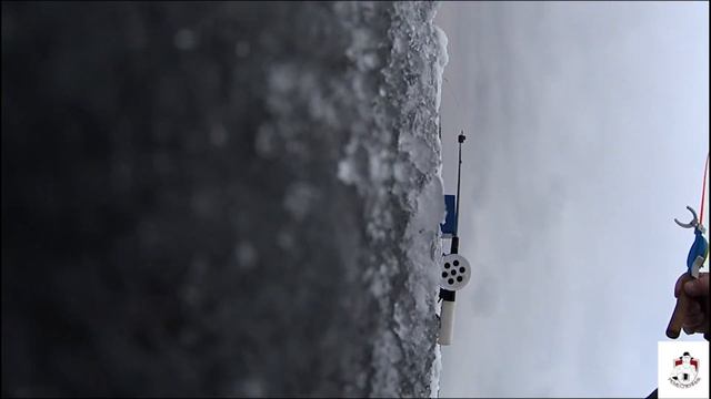 Зимняя рыбалка на реке Маныч. смотреть онлайн