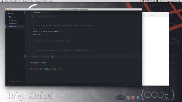 Basic PHP Syntax - CoderExpert смотреть онлайн