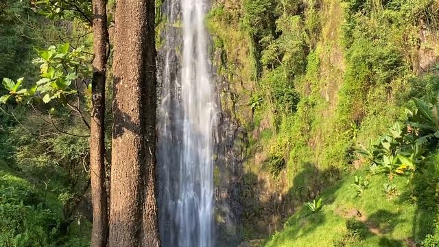 Энергия места силы. Килиманджаро. Планетарная любовь смотреть онлайн