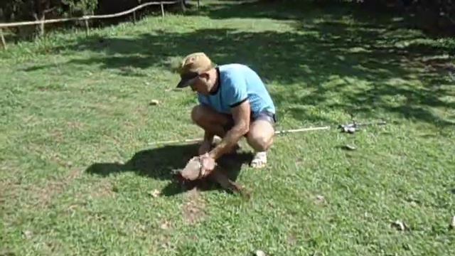 рыбалка, сом, пиранья, Вьетнам смотреть онлайн