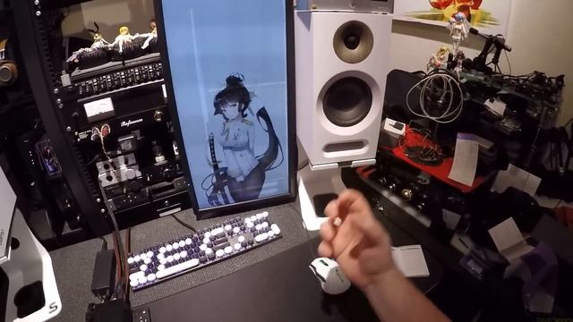 SMSL SA300 _(Z Reviews)_The Start Of Real Affordable HIFI