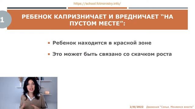 Мастер класс “Осторожно: детская душа! Понять или наказать?” смотреть онлайн