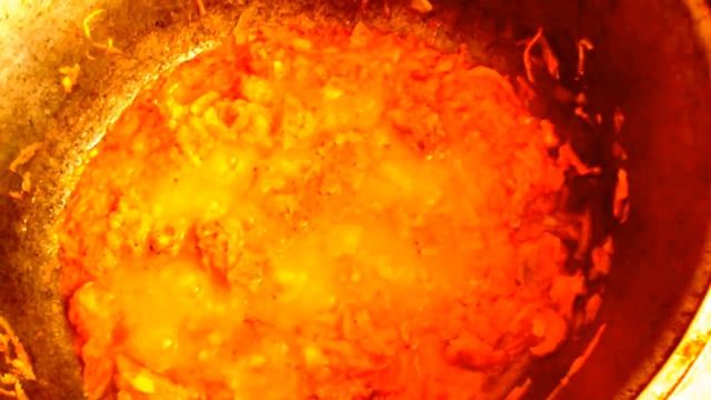 Зоопарк и Дикие Животные