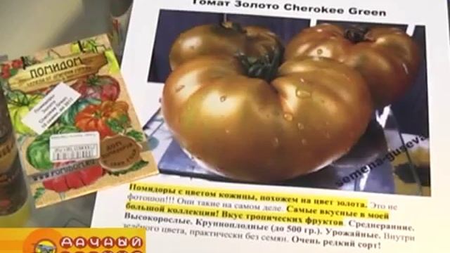 Коллекционные сорта томатов